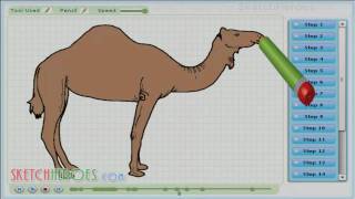 How to Draw a Camel