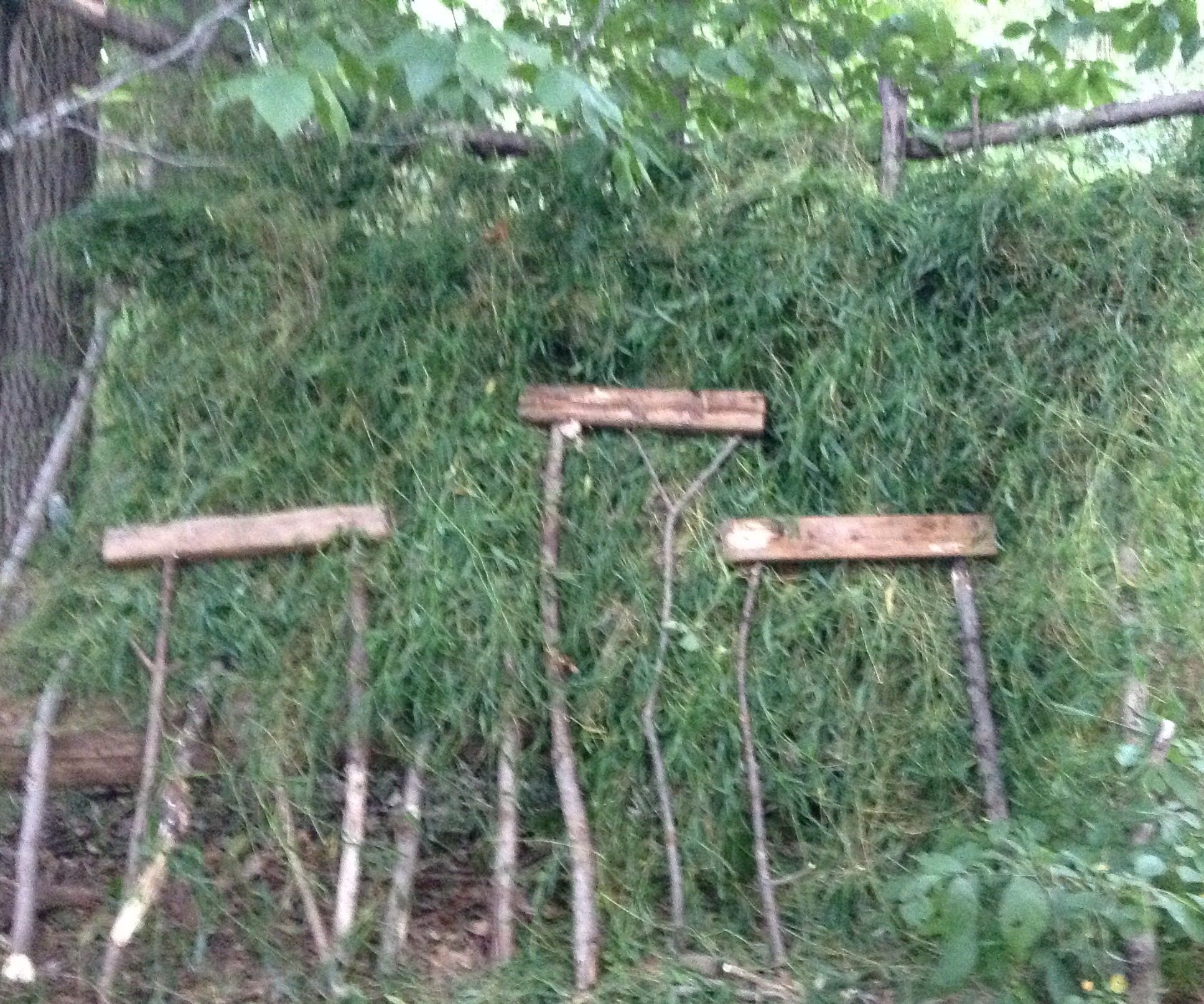 Survival Shelter With Basic Bushcraft Tools 