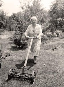 Mow the Lawn