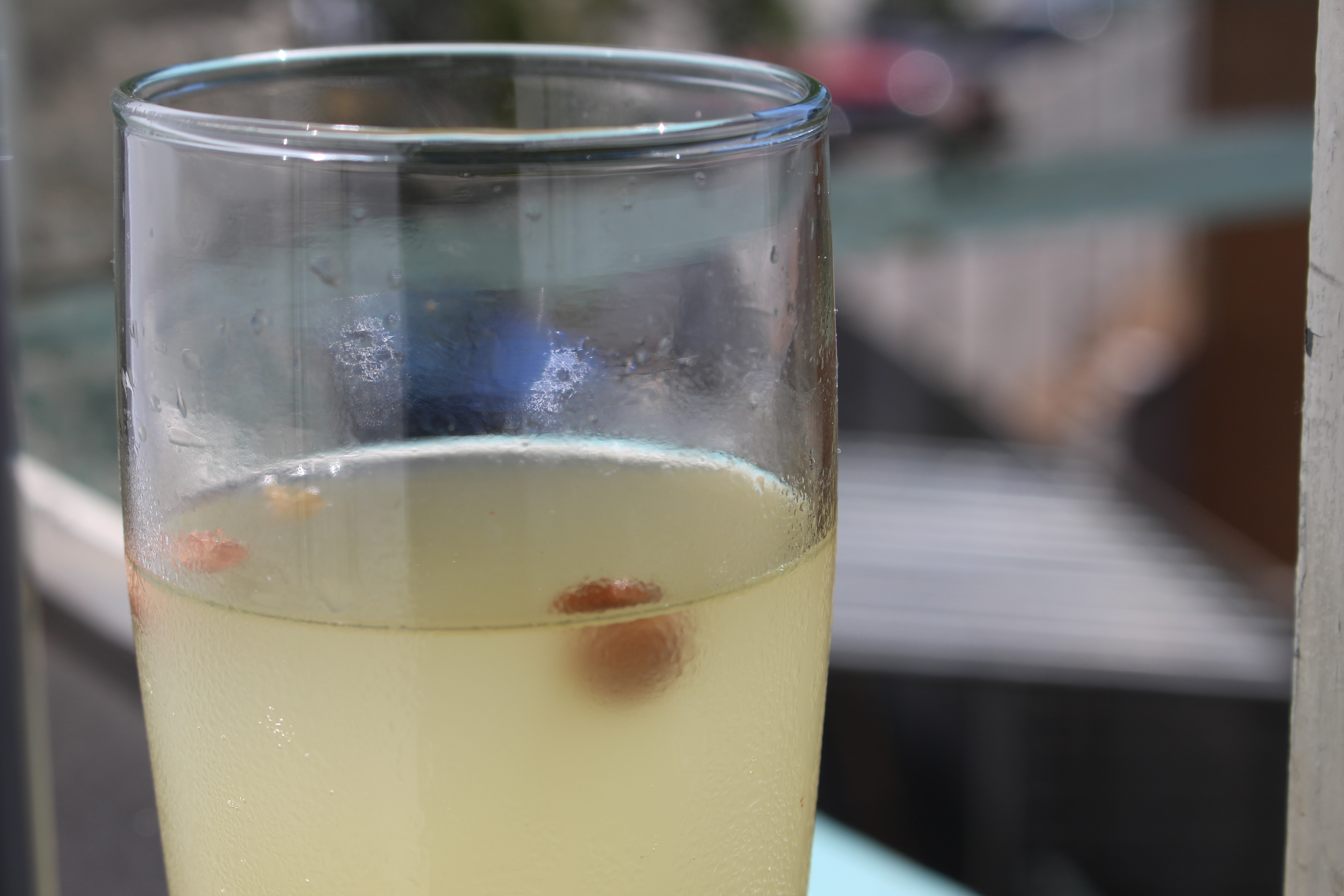 Ginger Beer in a BUCKET!