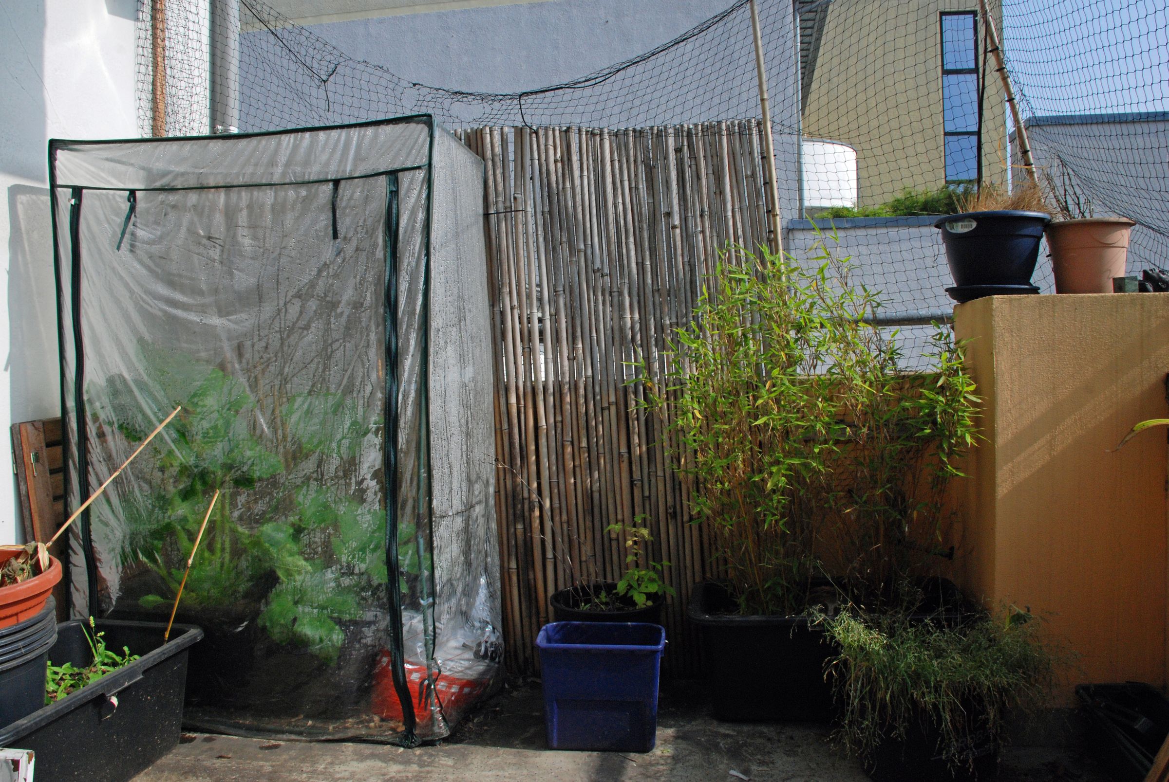 Plastic Greenhouse Example