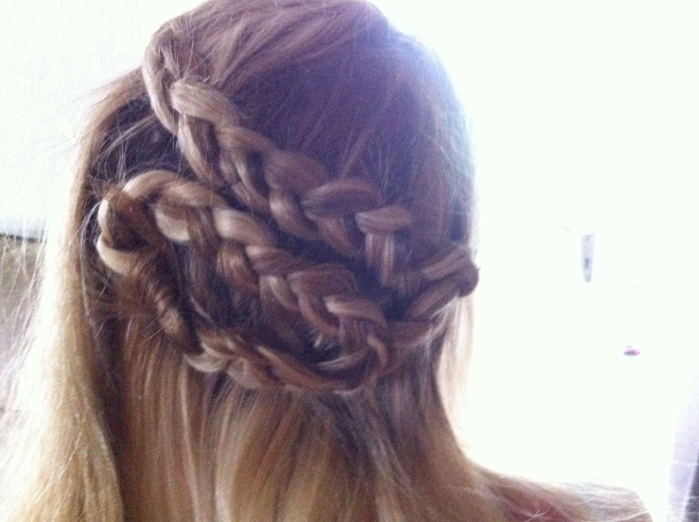 Braided Half Up Hair Do