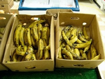 Work With Sympathetic Store Owners on Troubleshooting Potential Problems