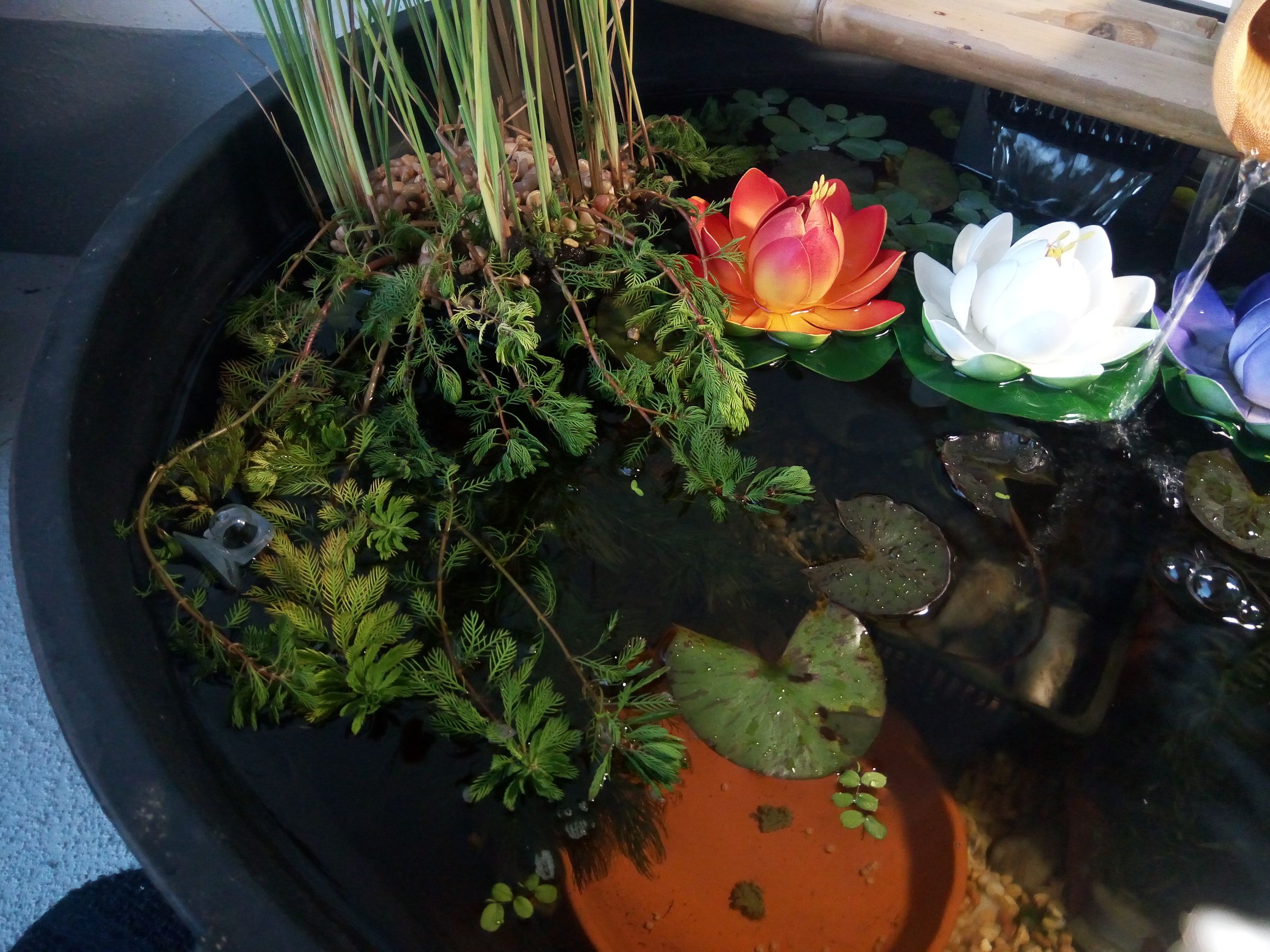 Patio Balcony Pond for Apartments and Condos 6 Steps (with Pictures) Instructables