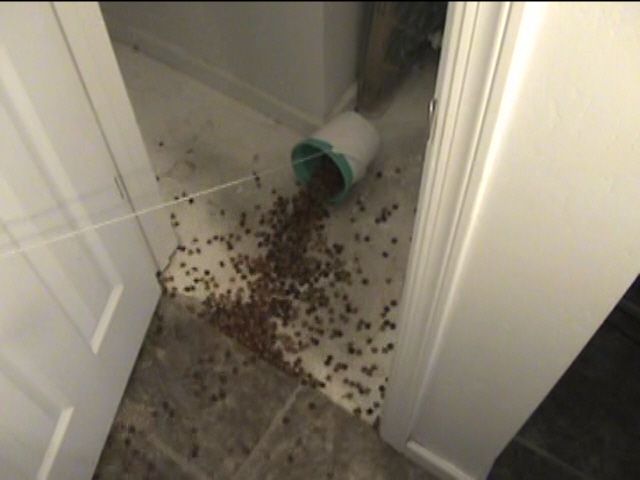 How to Set Up the Classic Closet Prank!