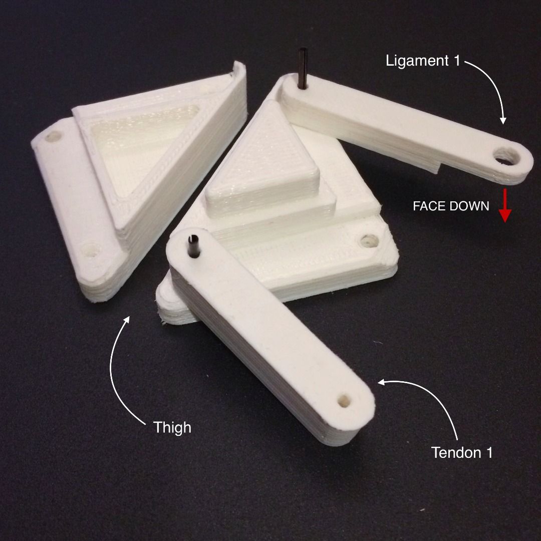 Strandbeest Inspired 3D Printable Walking Machine : 9 Steps (with ...