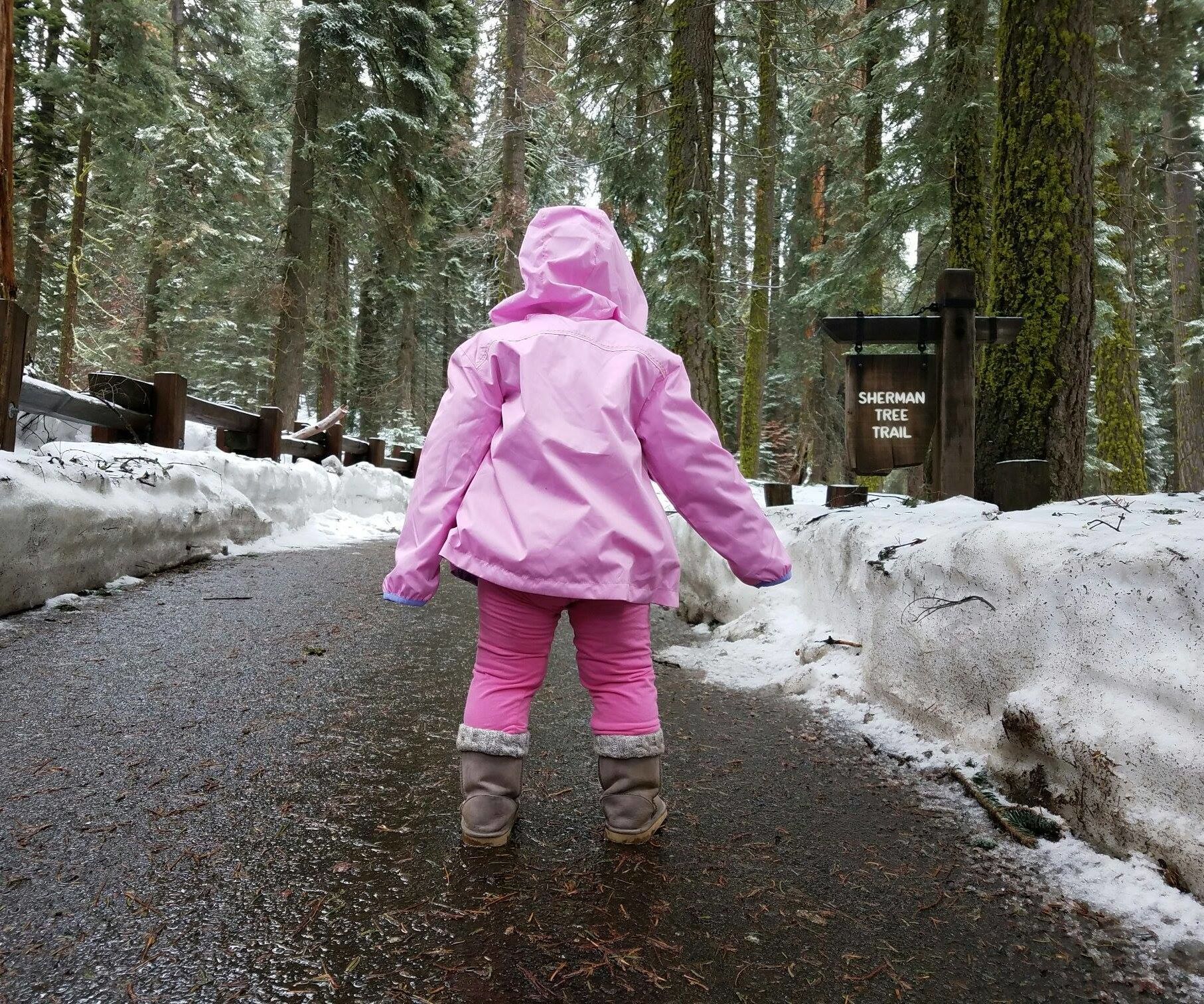 Educational Nature Scavenger Hunt