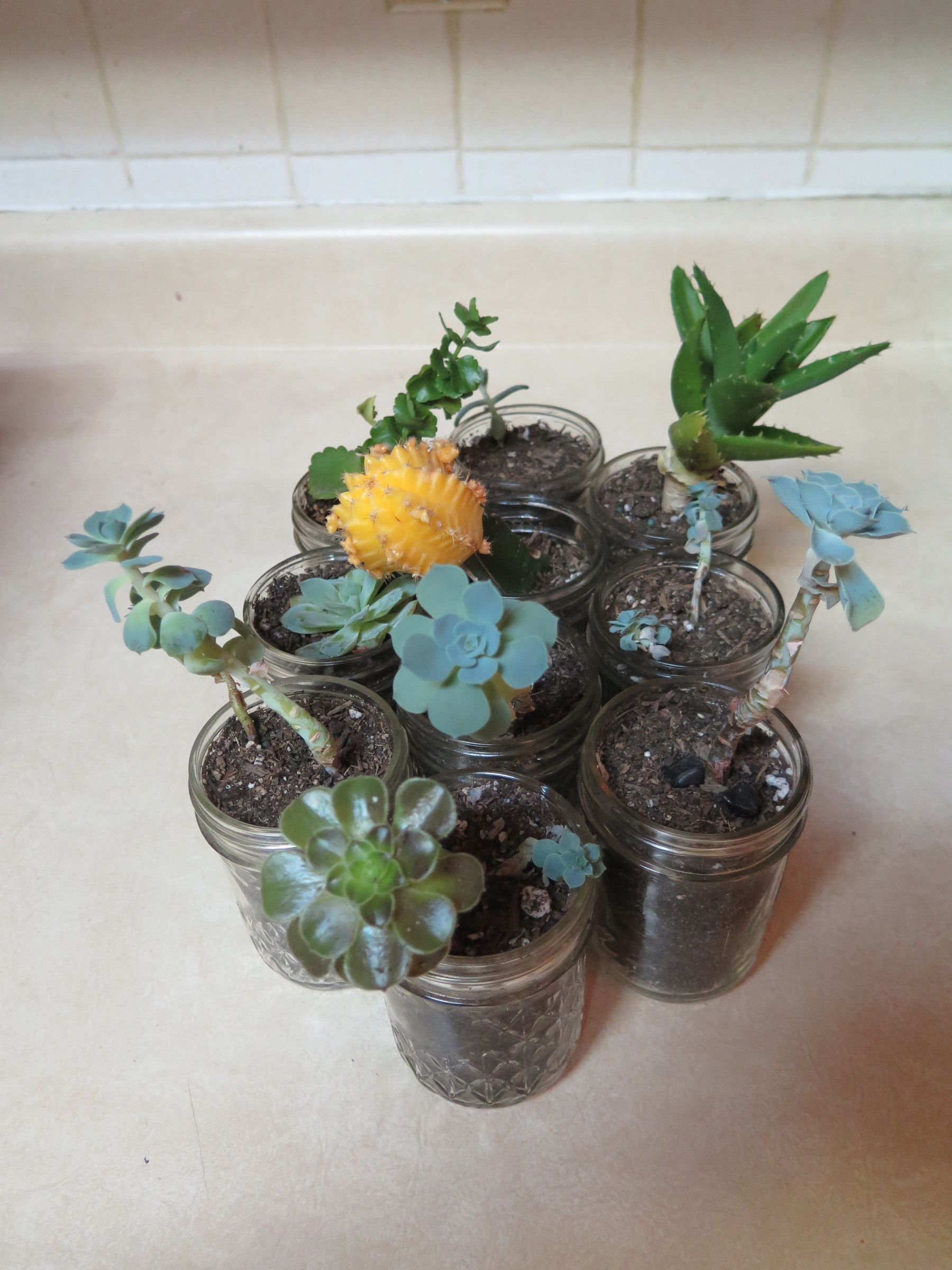 Hanging Mason Jar Gardens (with Pictures) Instructables