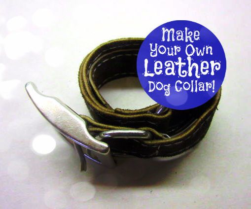 Make a Leather Dog Collar!