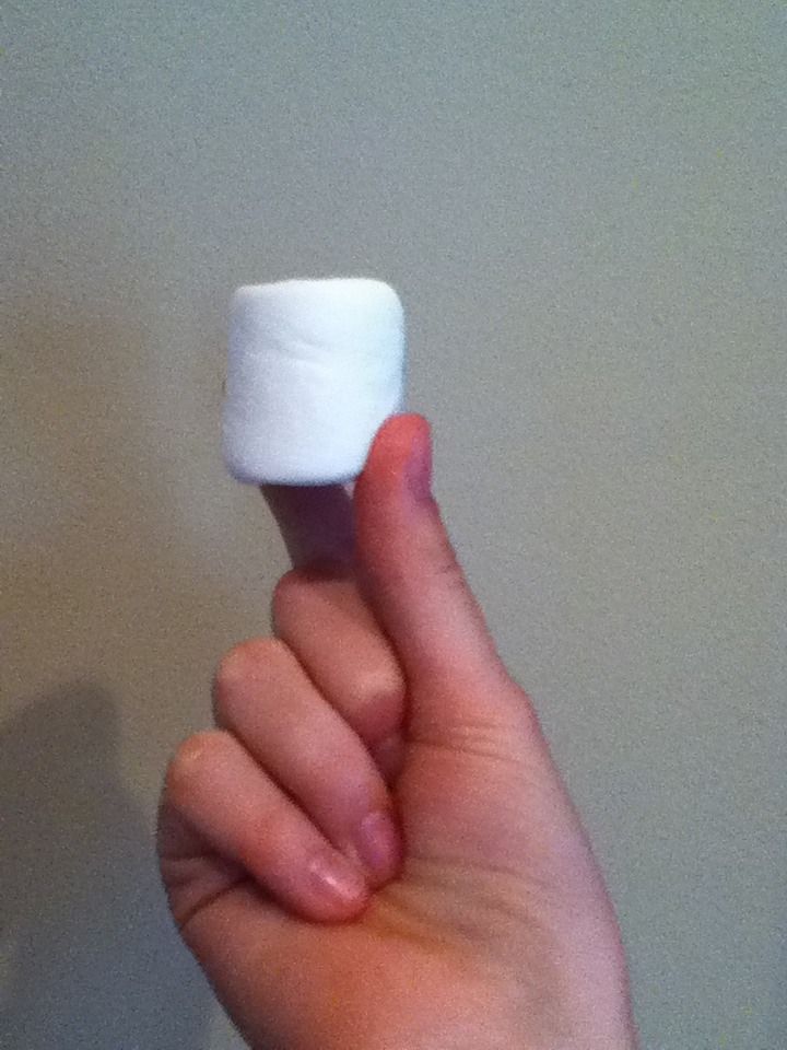 Roast a Marshmallow Without a Fire Pit
