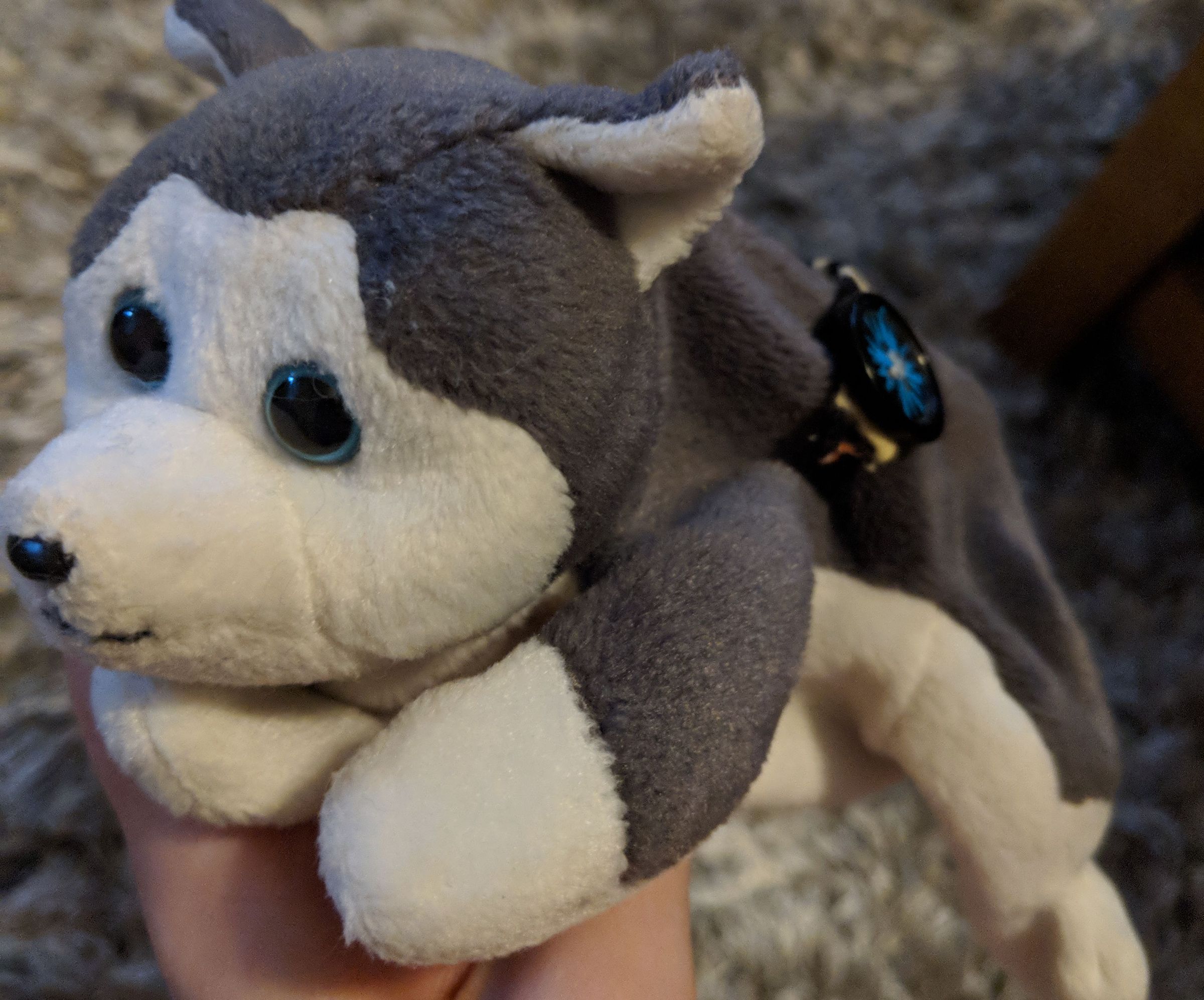 Beanie Baby Wallet