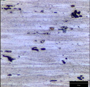 Final Analysis Before Final Test