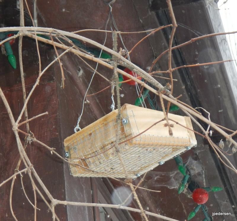 Bird Suet Feeder for Birds That Like to Feed Upside Down