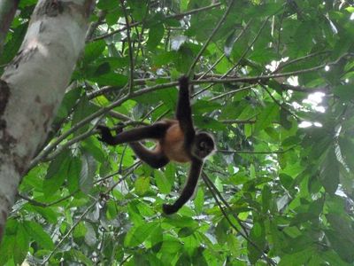 How to Make a Quilt EXCITING