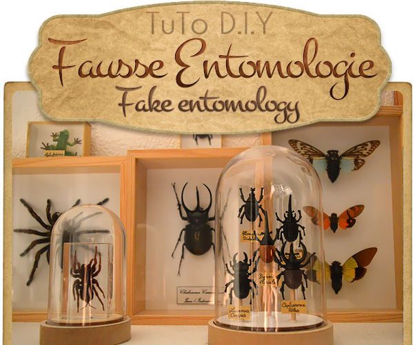 { FAKE ENTOMOLOGY } ! Cruelty-free !