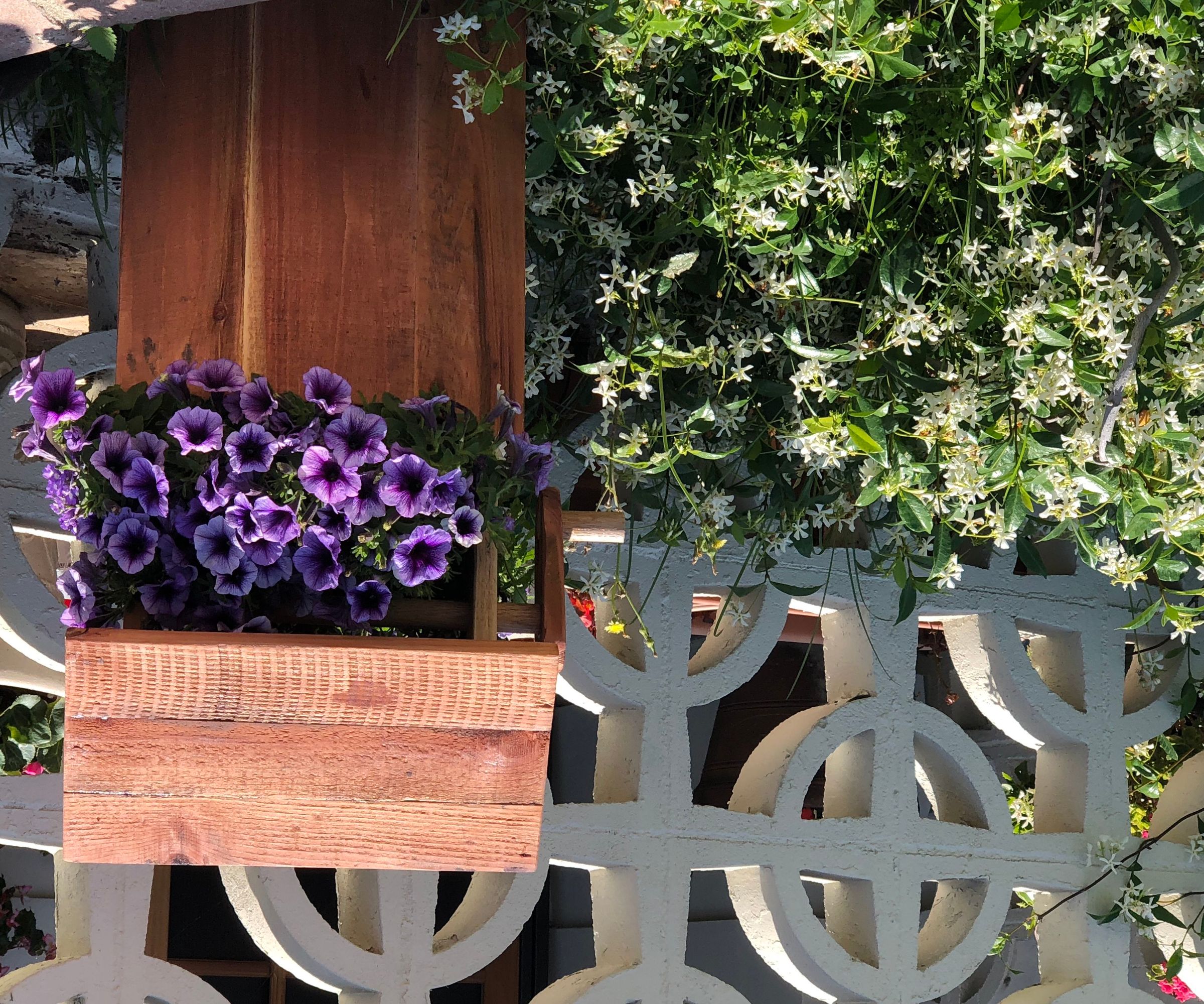 $20 Wishing Well Planter