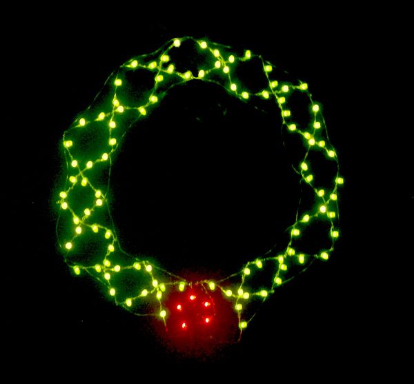 101-Led Wreath