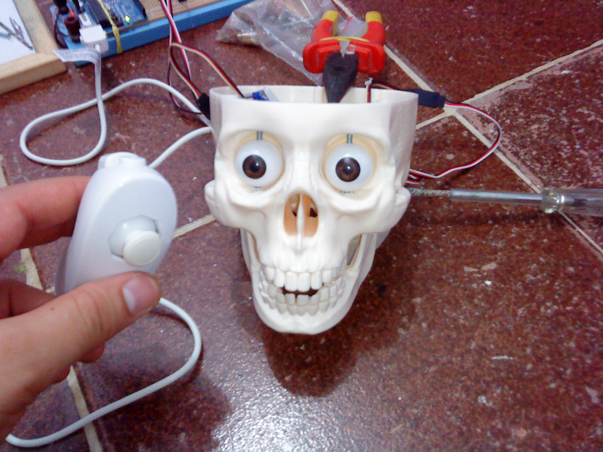 Interactive Skull