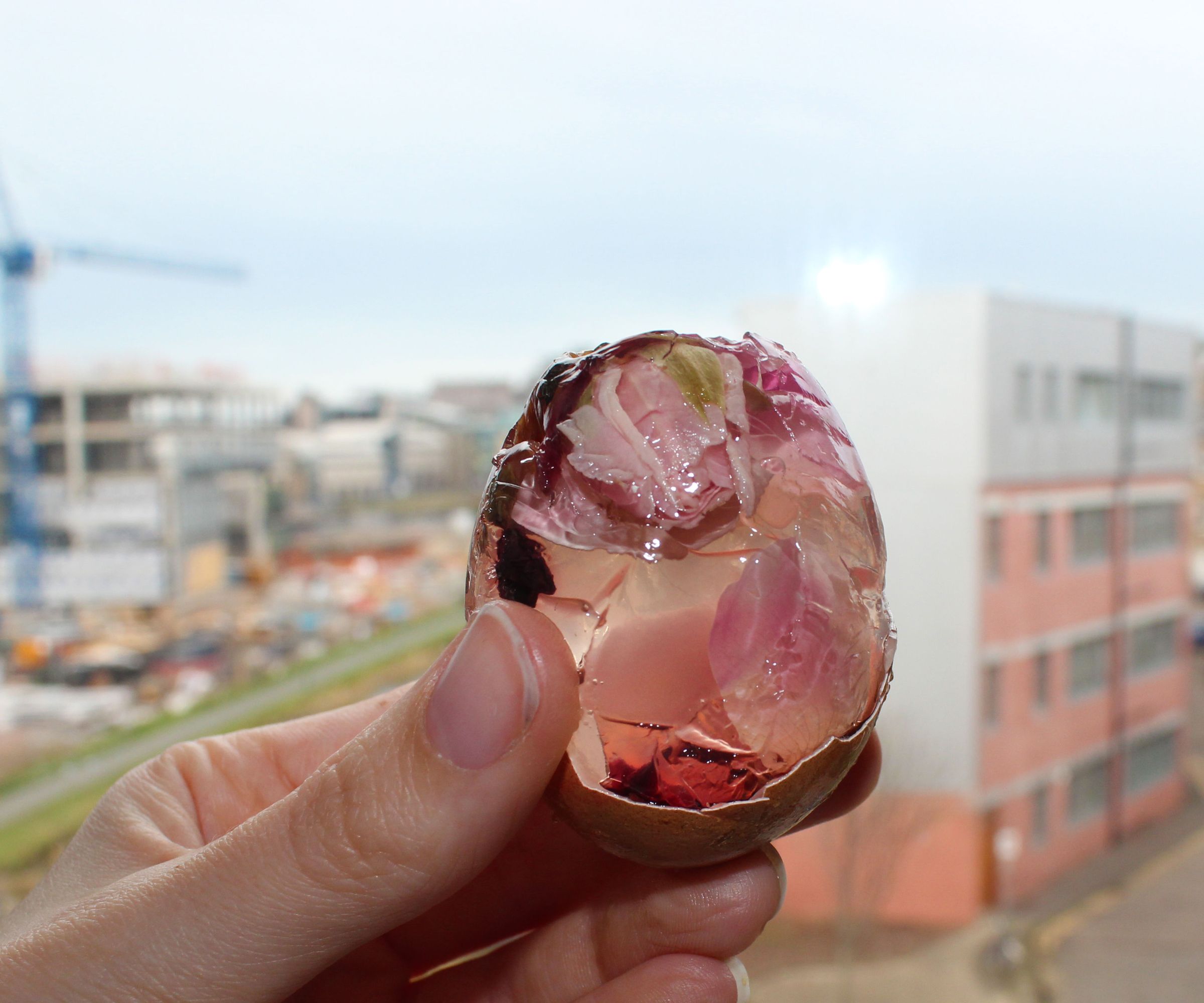 Egg Jelly Jewels