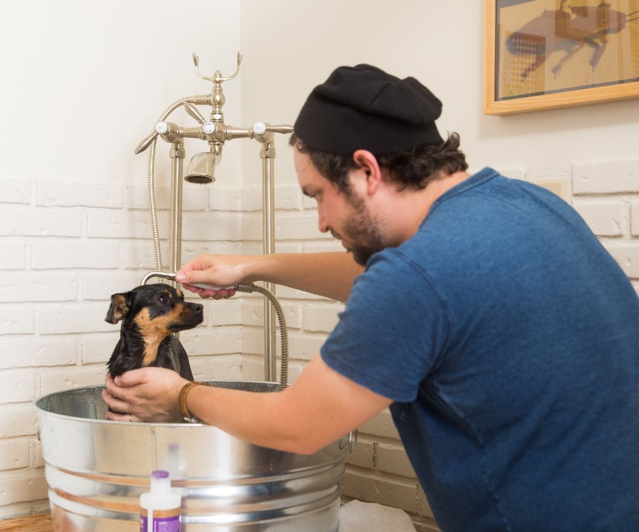 Dog Washing Station