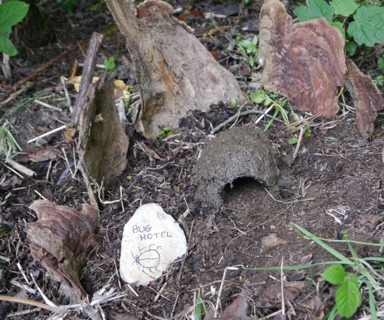 Making a bug house out of an empty jar