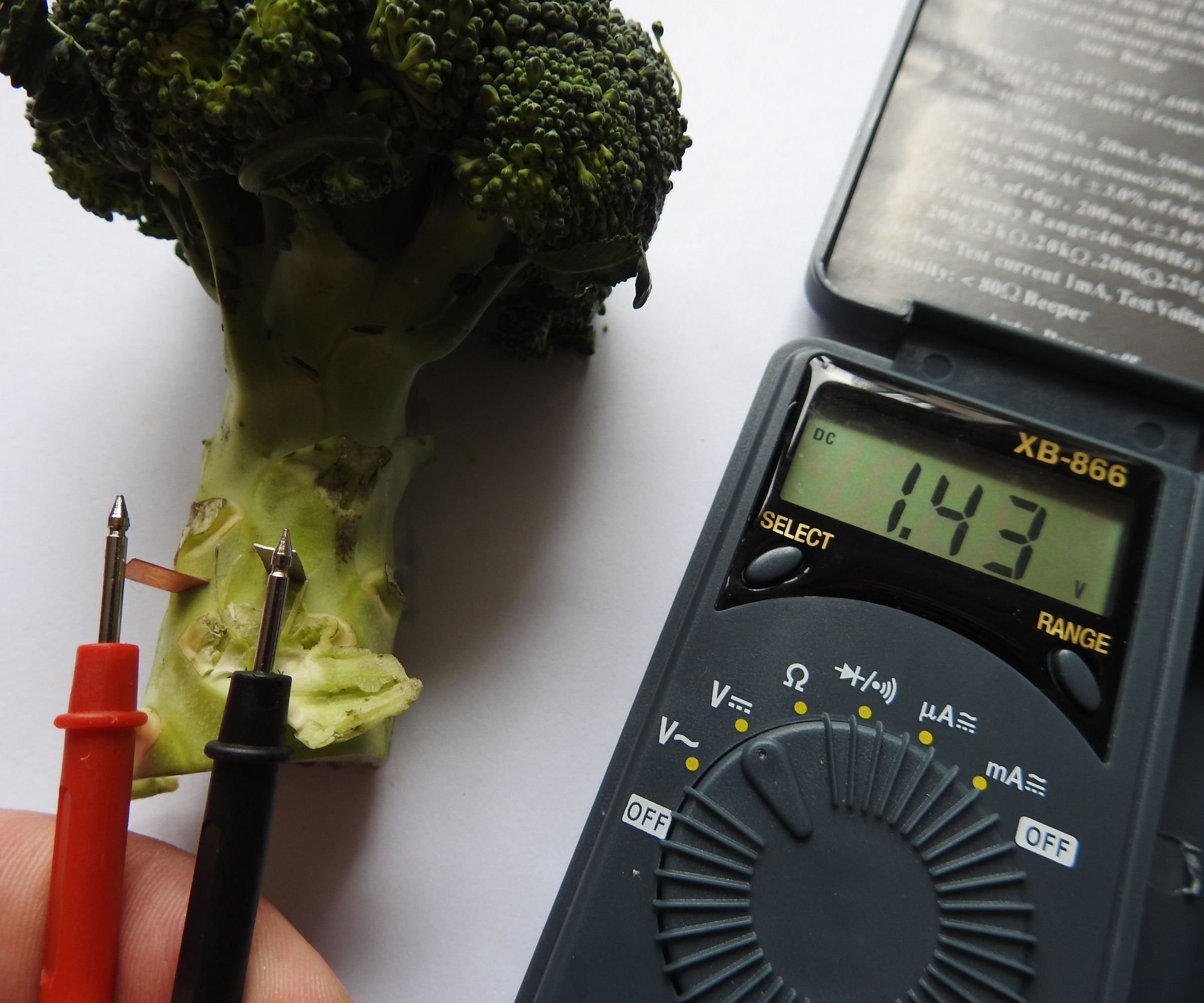 Greenest Energy in the Earth - Vegetable Battery (MEDELIS BATTERY Green)
