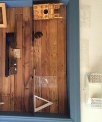 Pallet Accent Wall and Shelves