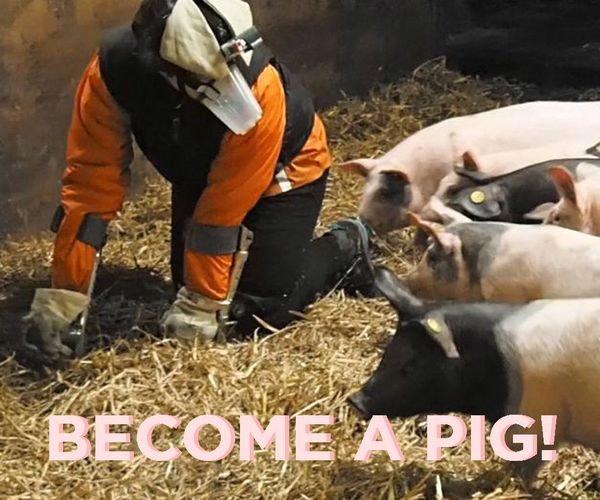 The Pig Empathy Suit