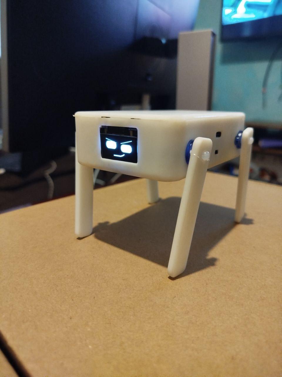 TN-24 V2.0 (Cute Desktop Companion Robot)