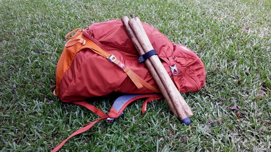 Compact Walking Stick