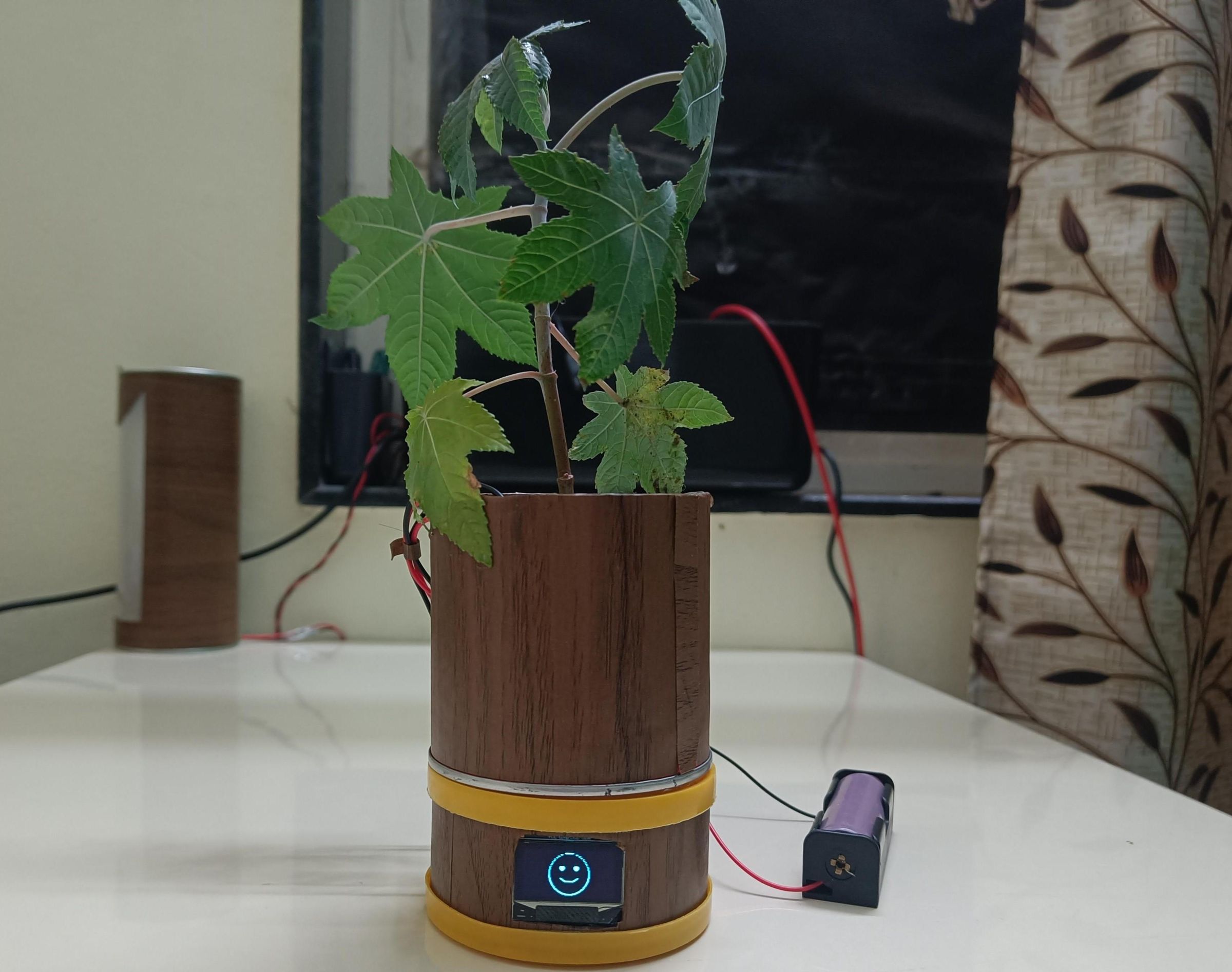 Giving Life to Plants: an Arduino Plant Emotion Project (Plant Decoration)