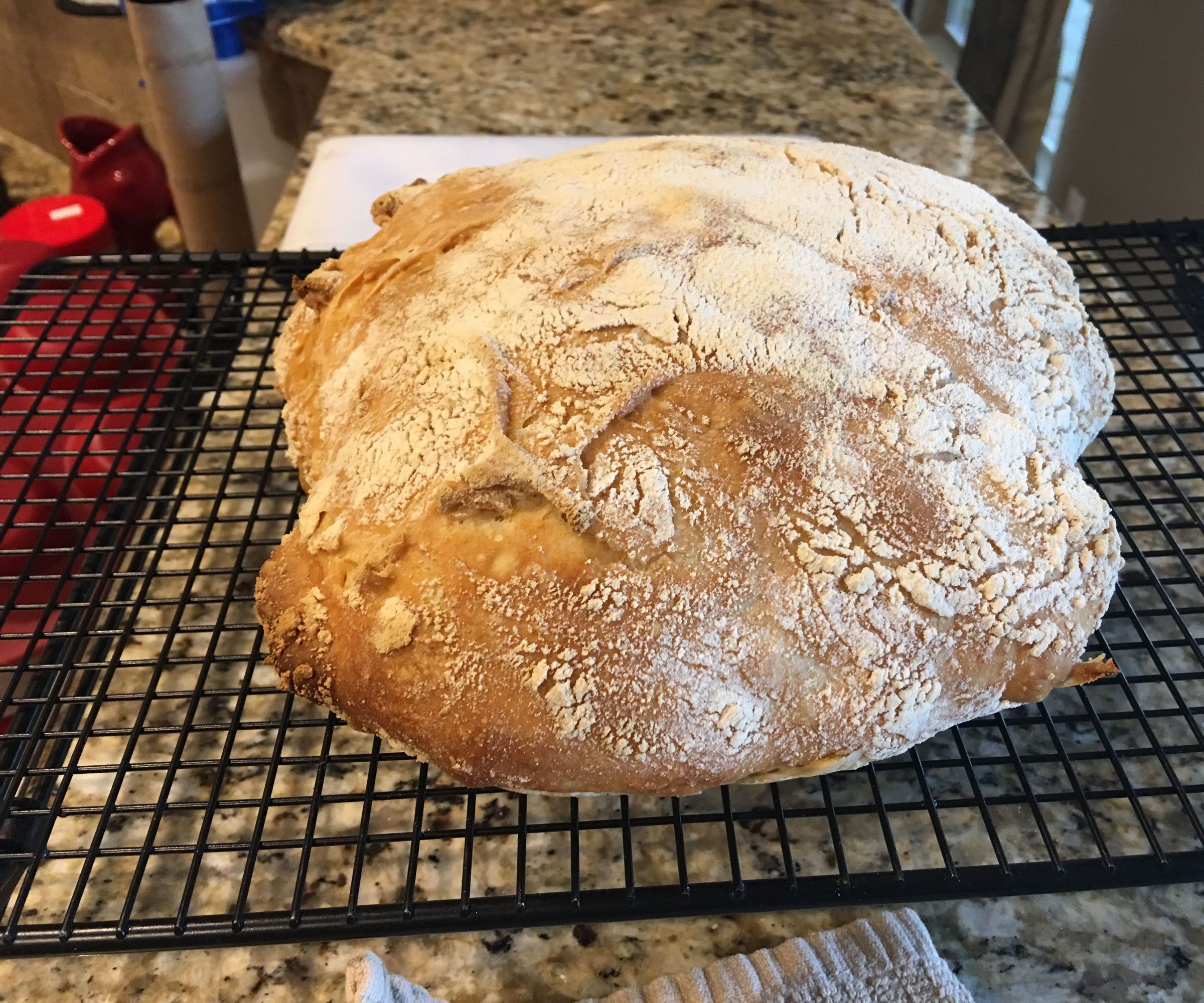Easy No Kneed Bread