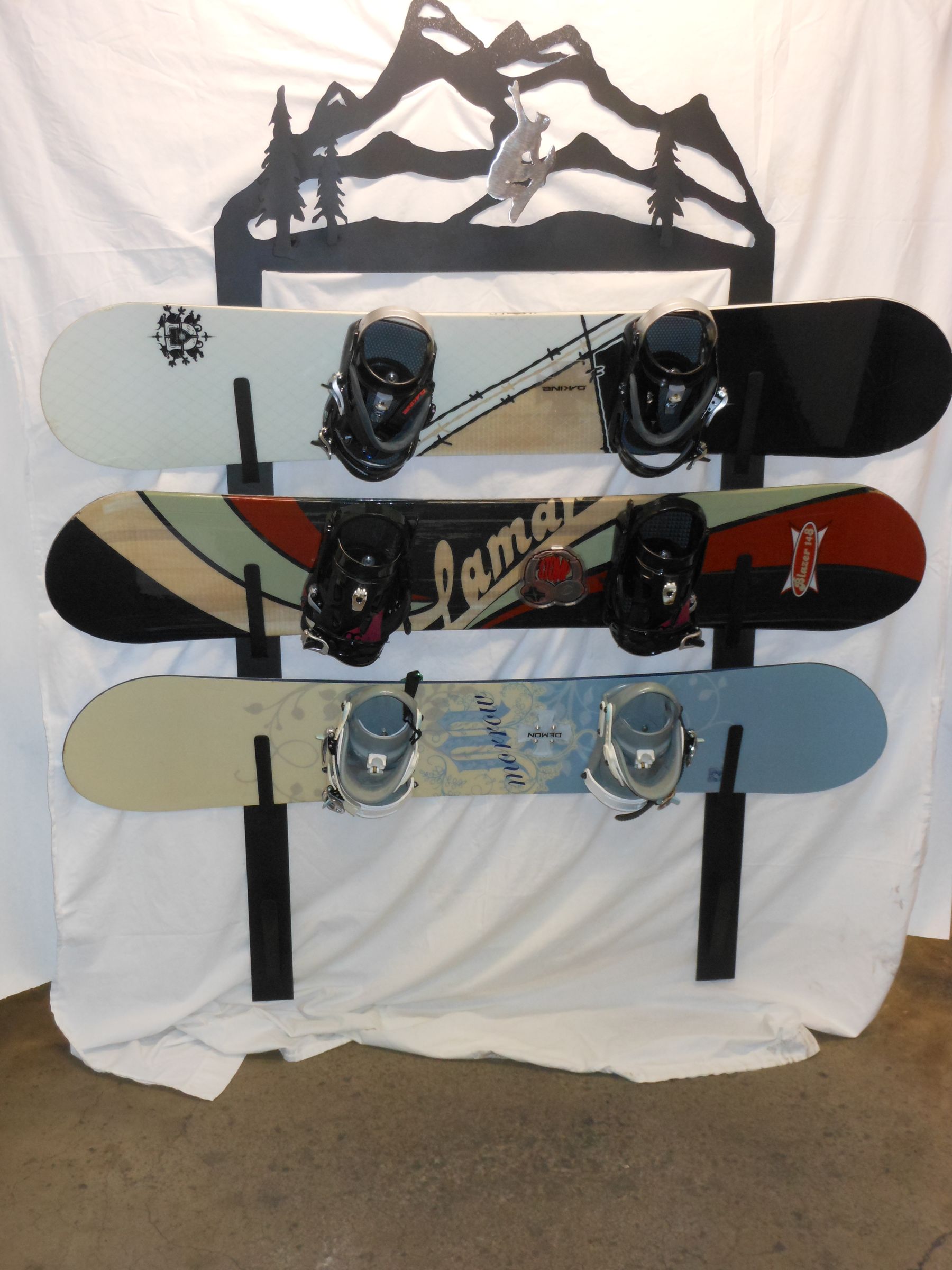 Scenic Metal Snowboard Rack