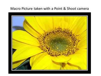 Take Great Pics, Easy Tutorial!