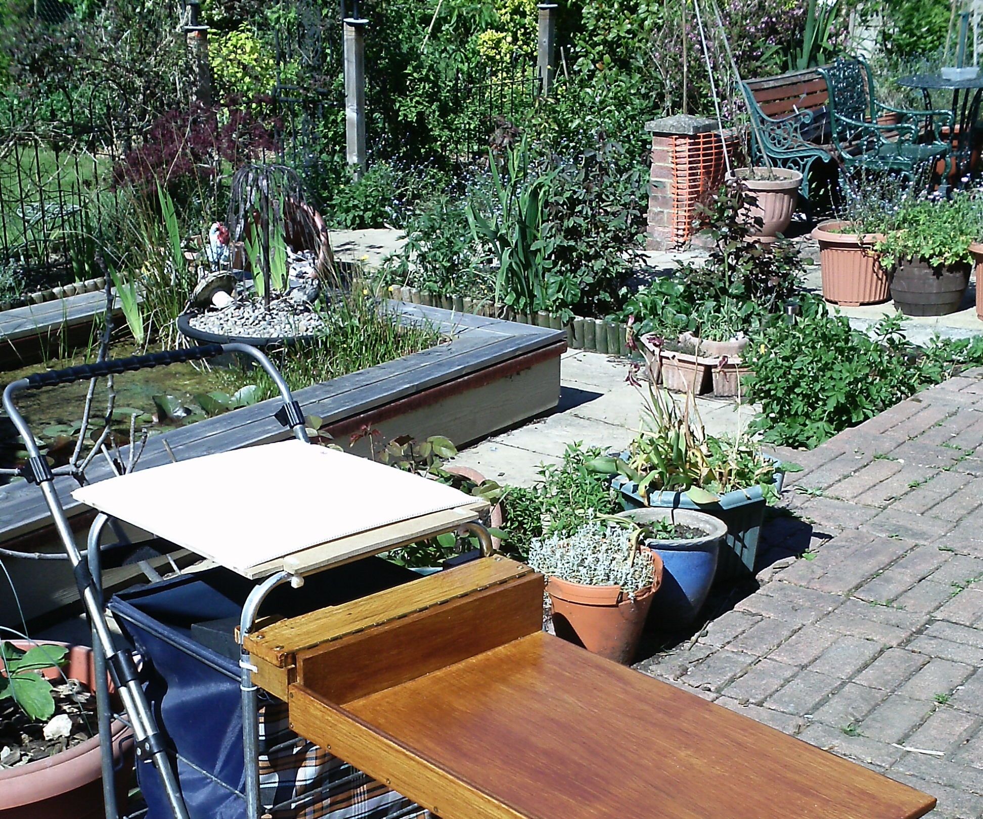 Dual Purpose Table/walking Aid