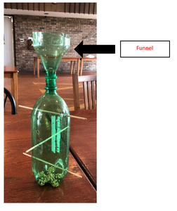 Step 9: Fill Feeder