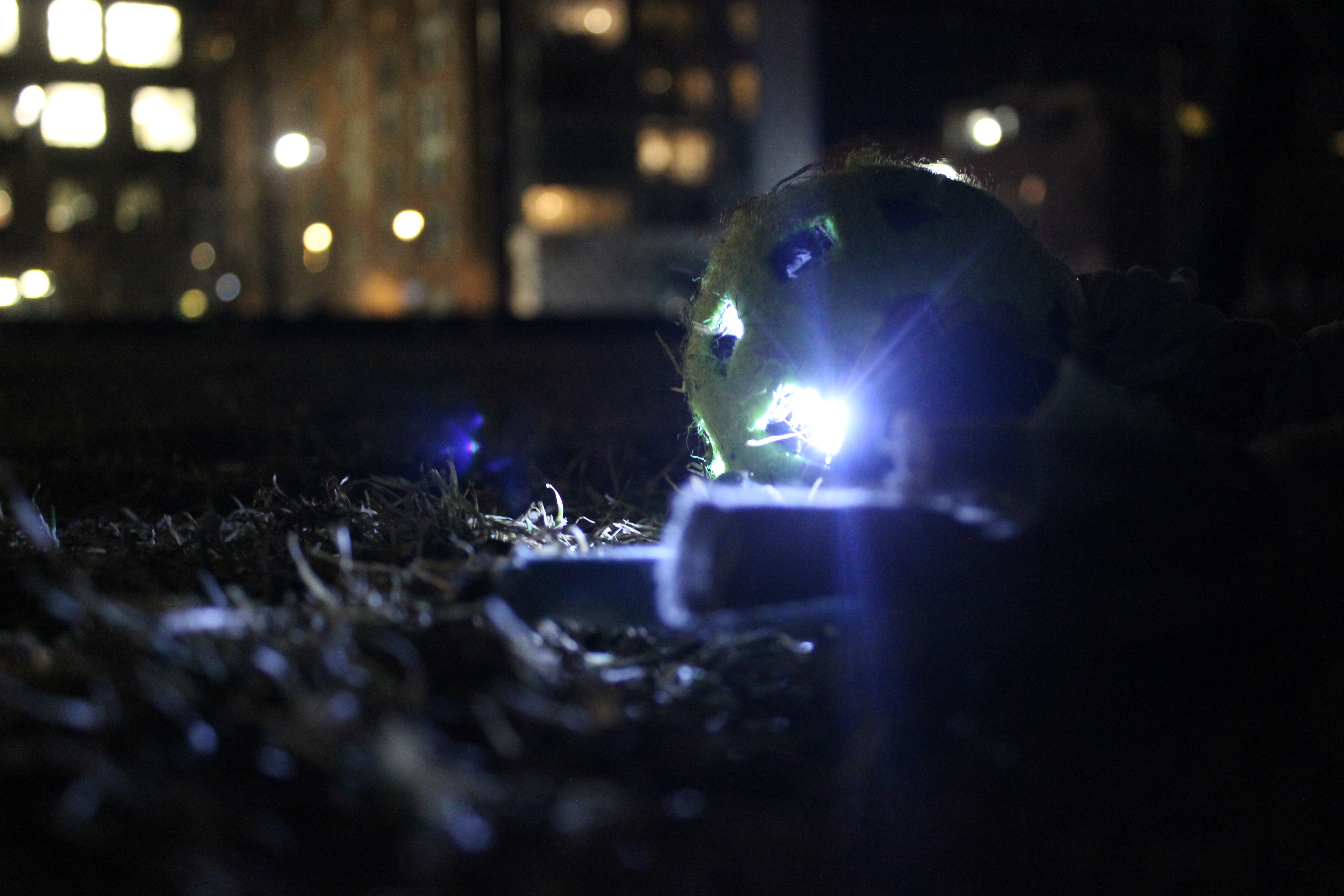 3 Light Up Dog Toy 6 Steps (with Pictures) Instructables