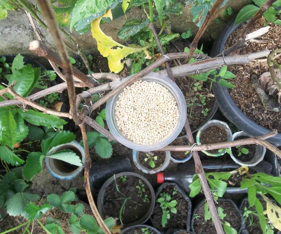 Natural-Look Bird Feeder