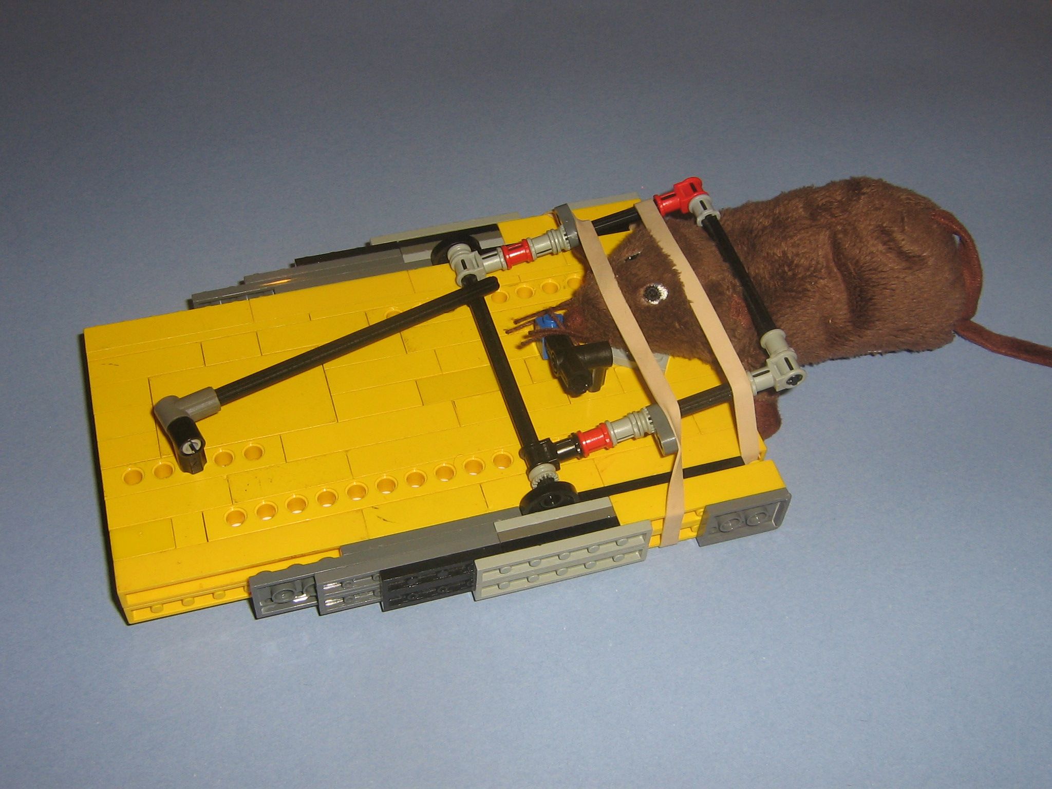 Lego Mouse Trap!