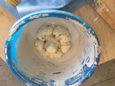 Mold for the Cloud of Smoke