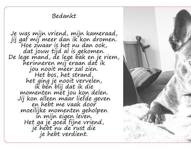 Aandenken Overlijden
