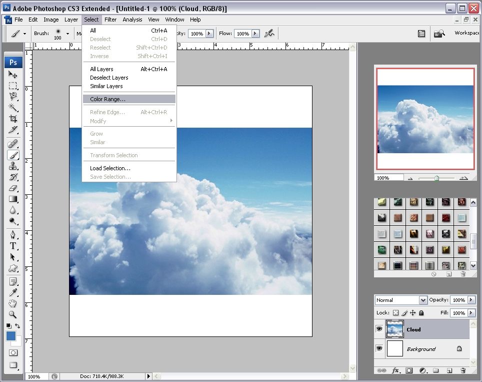 Adobe Photoshop CS3: Brush Creation for Dummies : 4 Steps