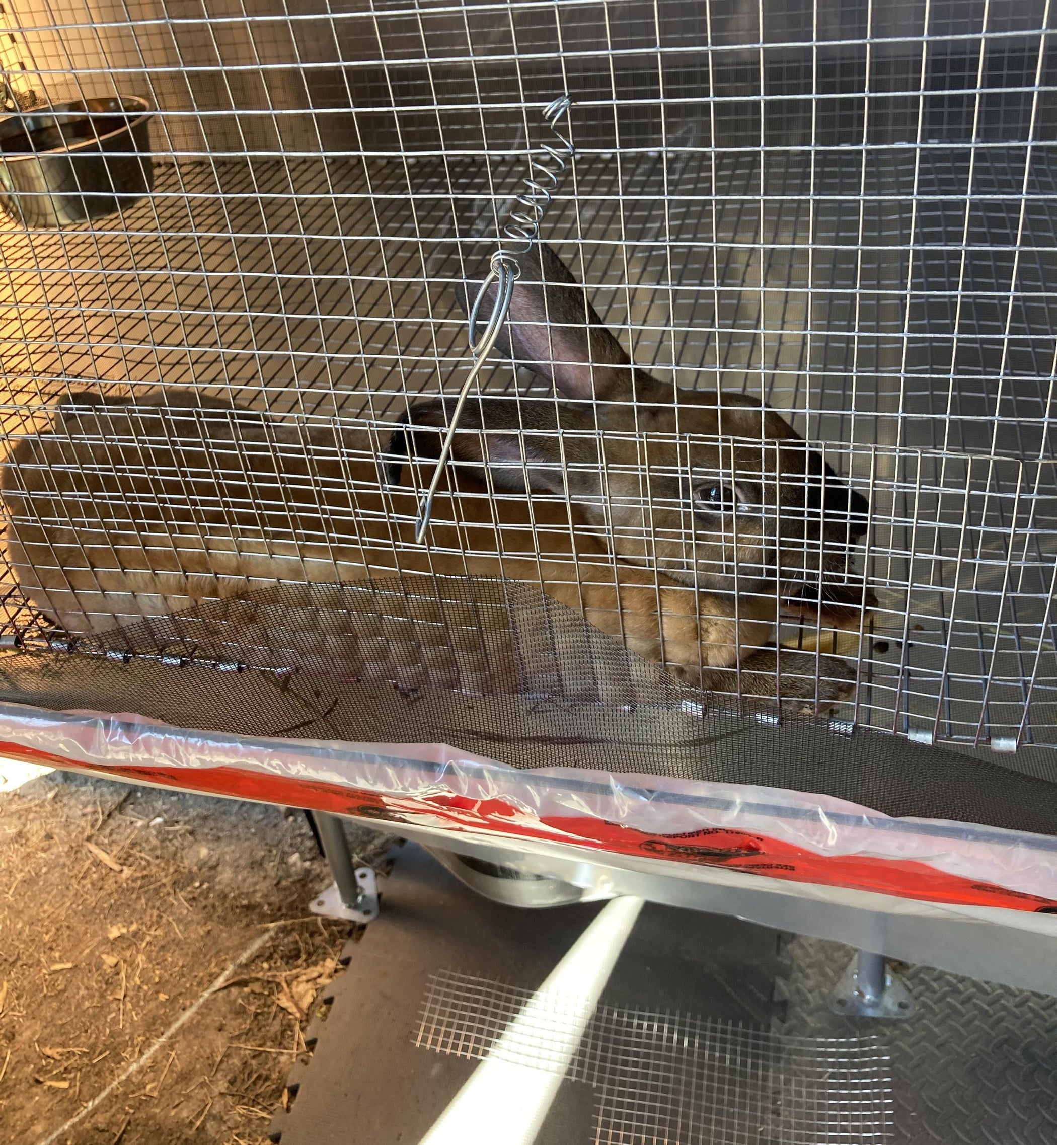 Cage Latch for Wire Cage or Kennel 6 Steps Instructables