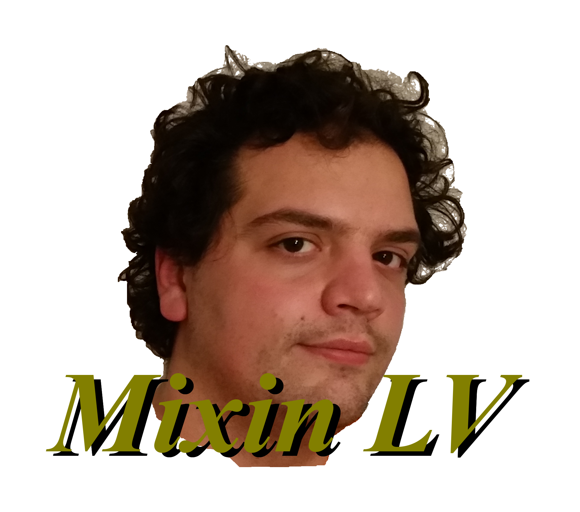Mixin LV