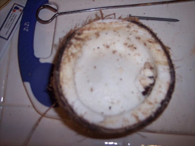 Opening the Coconut