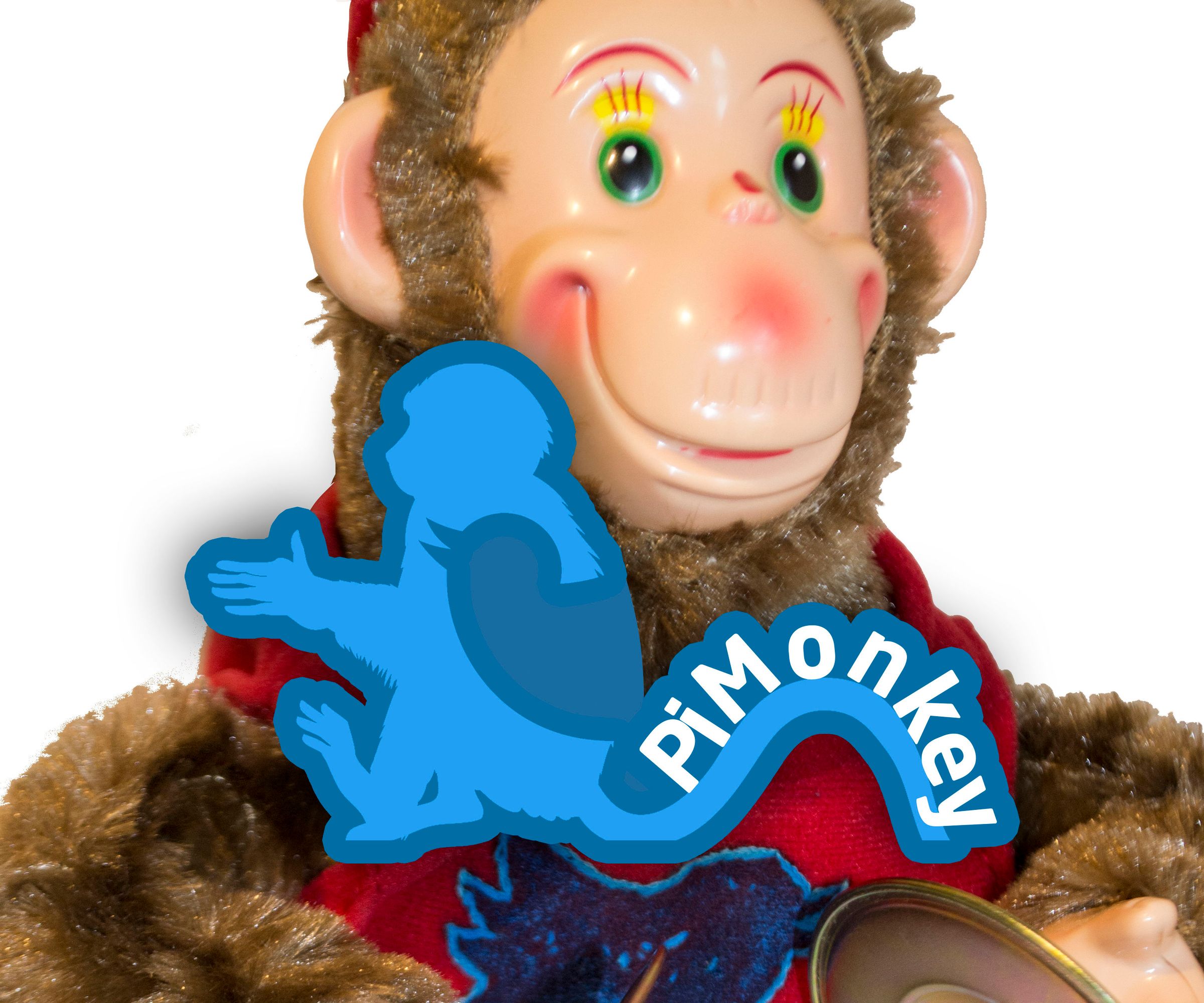 PiMonkey: Create a Twitter Hashtag Monitoring Toy!