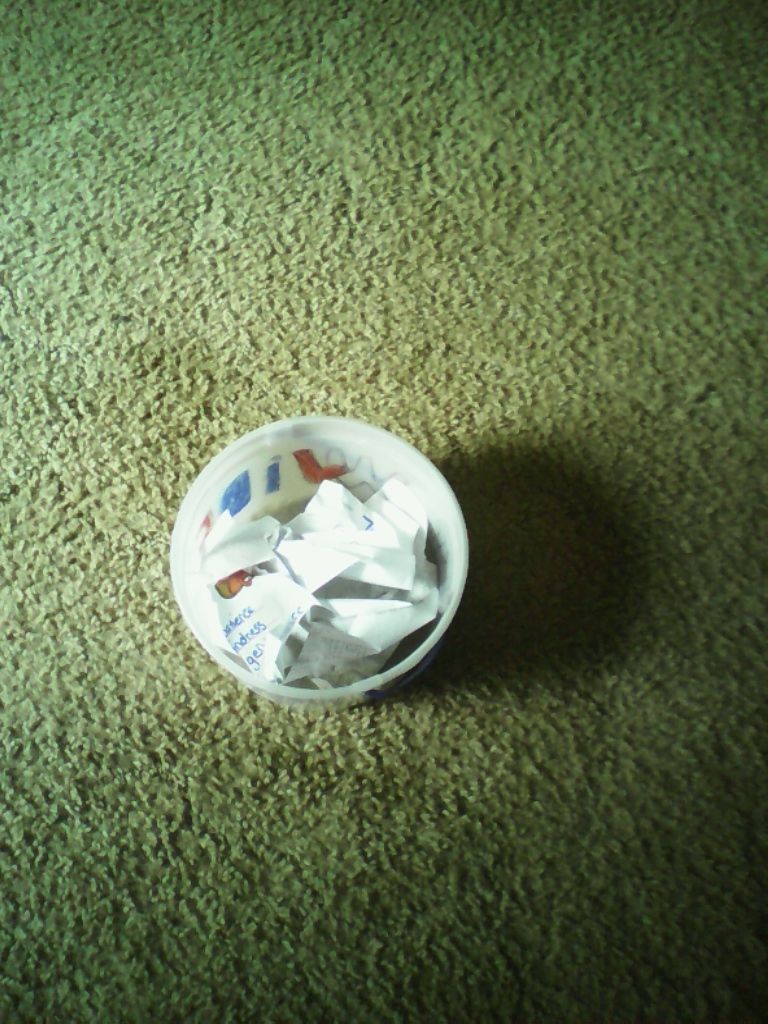 A Old Bucket Into a Fashionable Trash Can