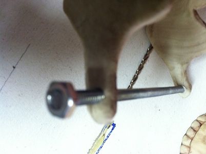 Interactive Arduino Skull : 7 Steps - Instructables