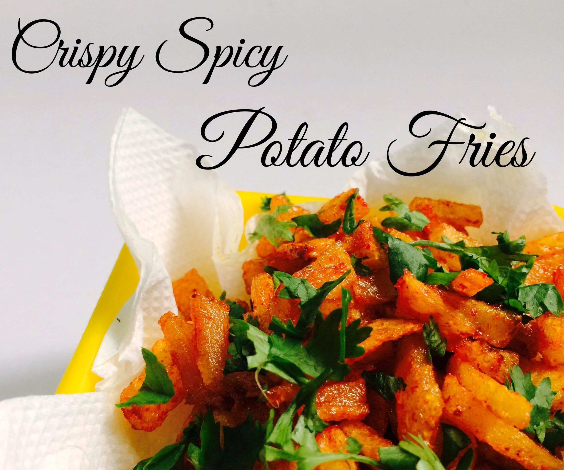 Quick N Spicy Potato Fries