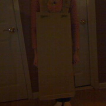 How to Read a Red Marine Flag Cardboard Costume